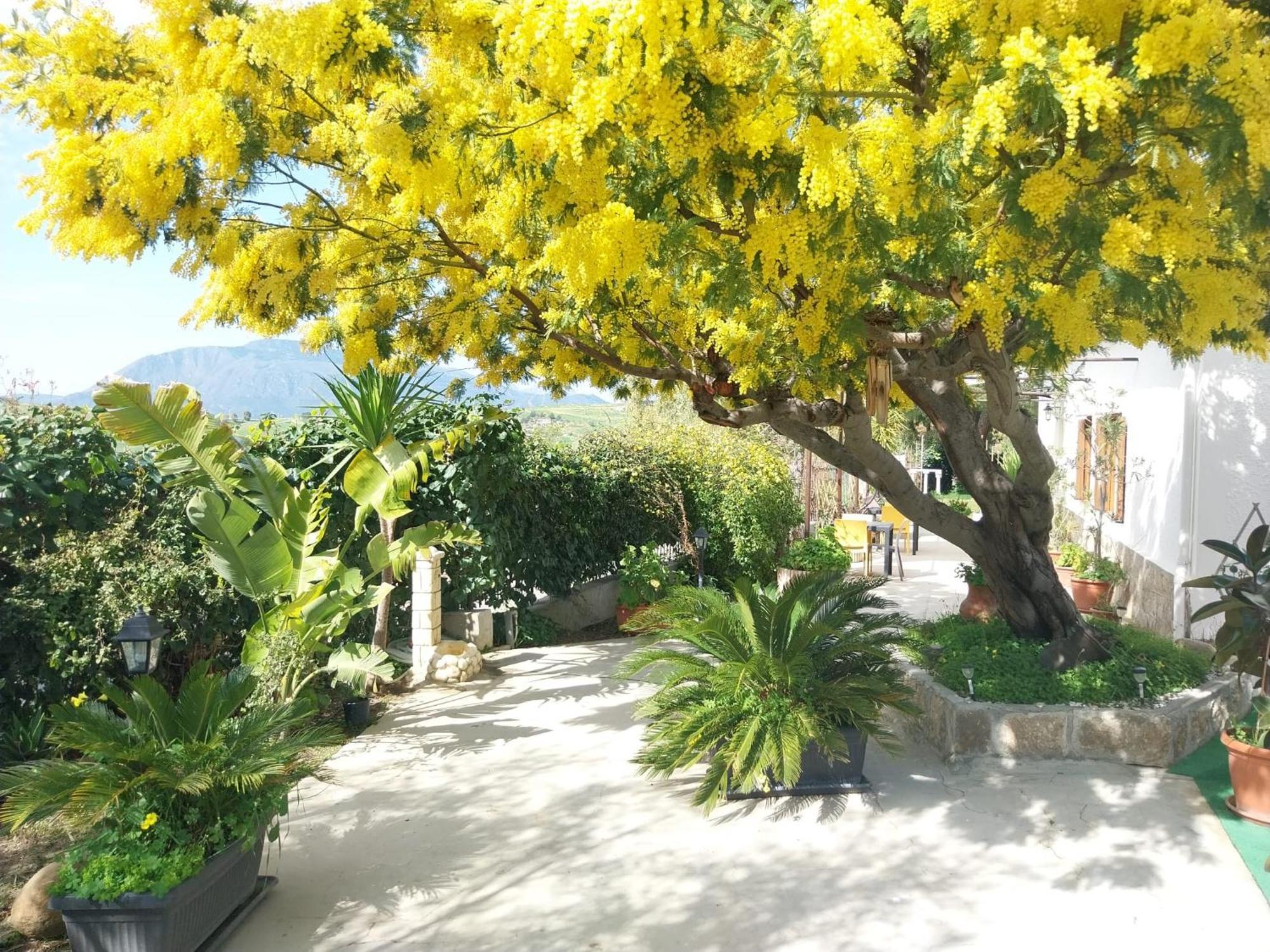 Casa Lachesi Caccamo Kültér fotó
